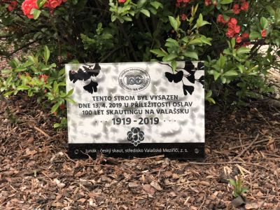 Placa conmemorativa scout