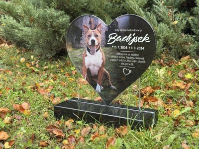 Placa de vidrio para mascotas